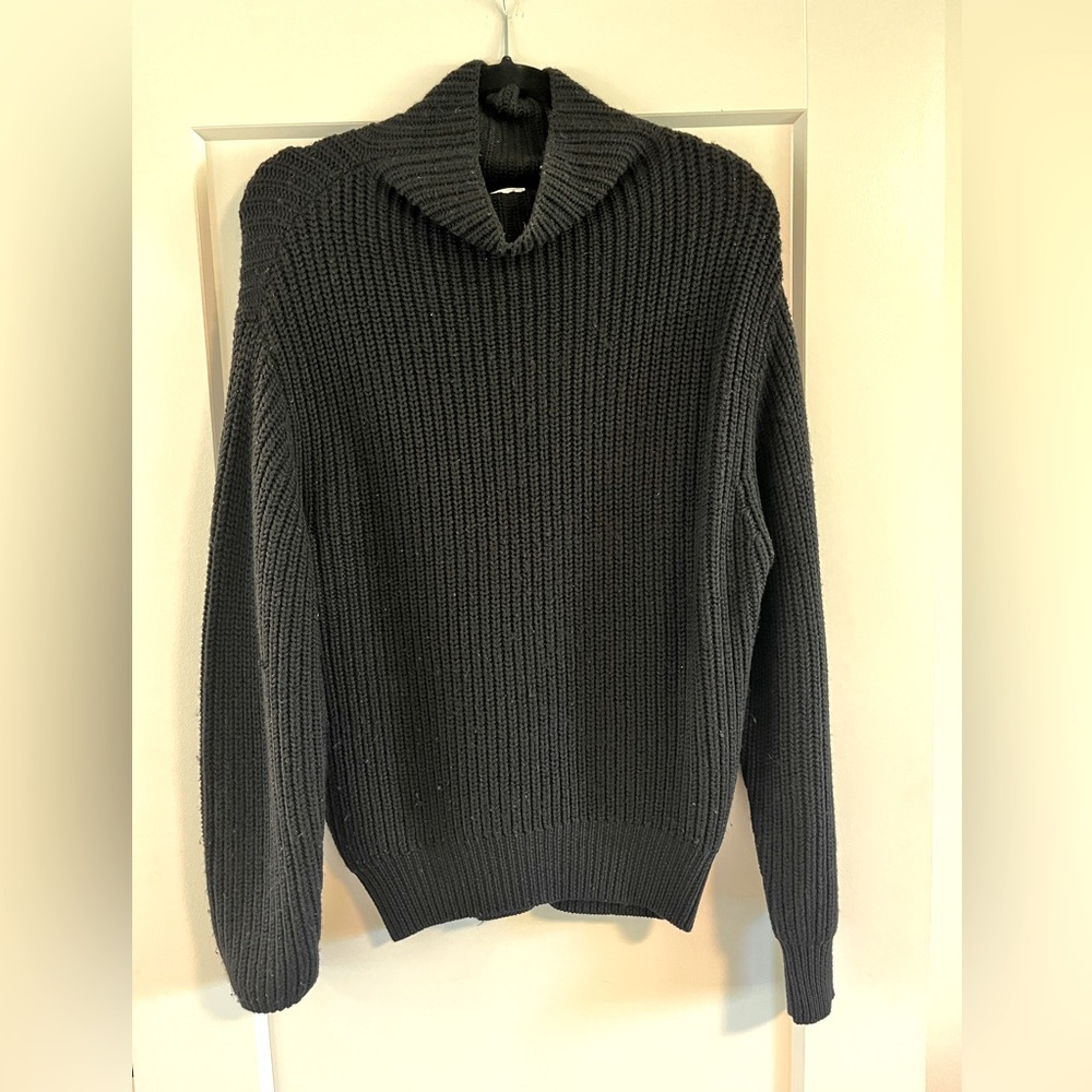 ARITZIA Wilfred Montpellier turtleneck sweater